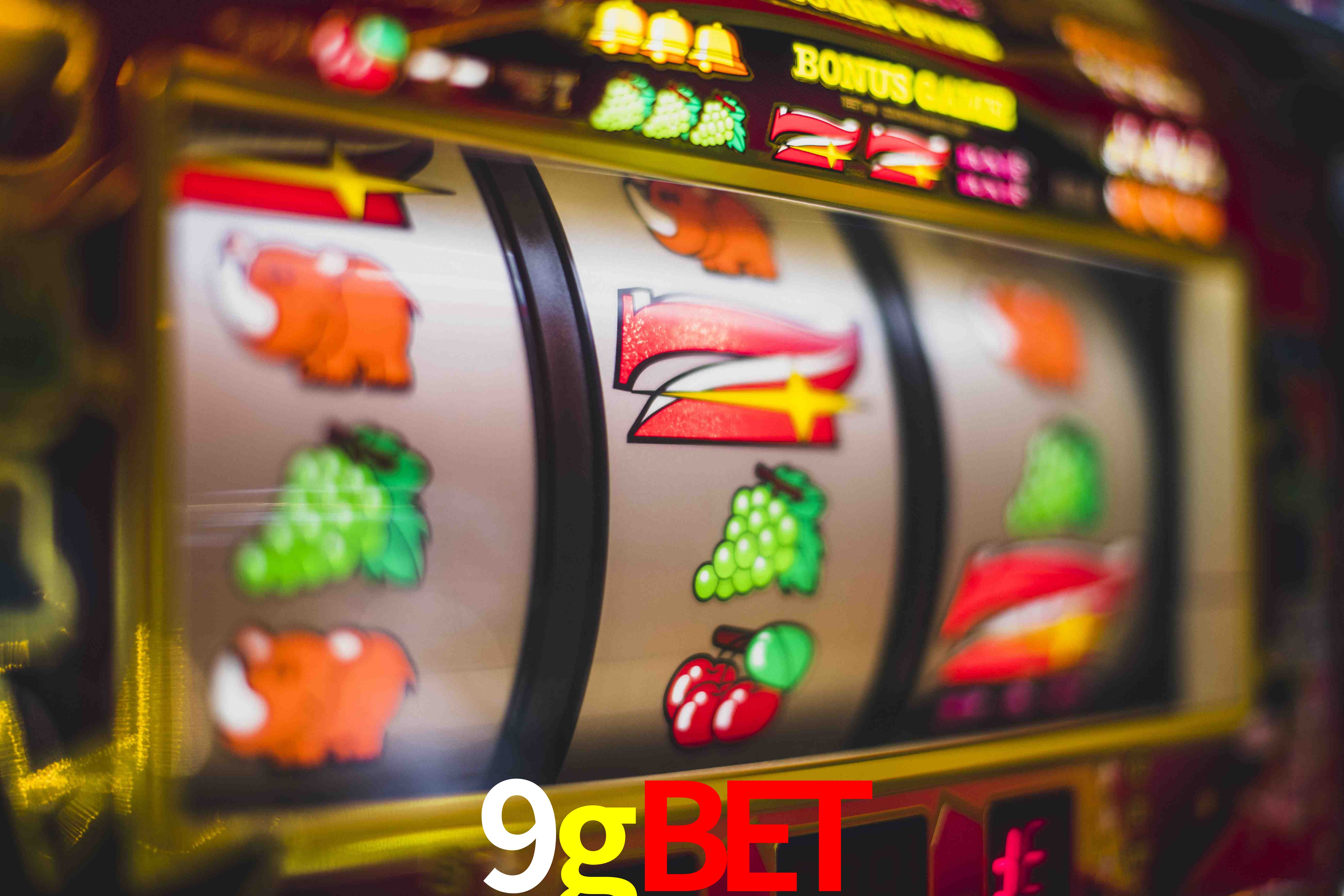 Football Betting 9gbet